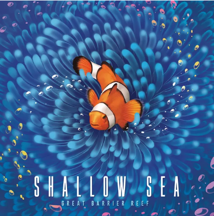 Shallow Sea